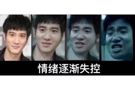 信用贷款催收公约制度:构建和谐金融生态的关键 信用贷款催收公约制度:构建和谐金融生态的关键